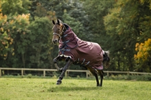 Horseware Amigo 1200D Plus Turnout Lite